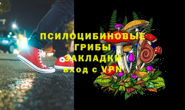 ПСИЛОЦИБИНОВЫЕ ГРИБЫ Абдулино