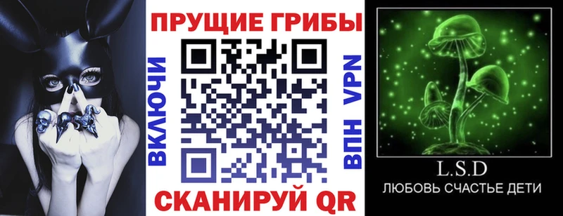 Галлюциногенные грибы Cubensis Астрахань
